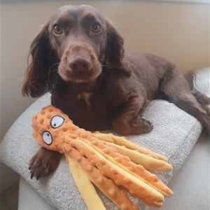 Orange octopus plush dog toy with cartoon eyes on curled tentacles