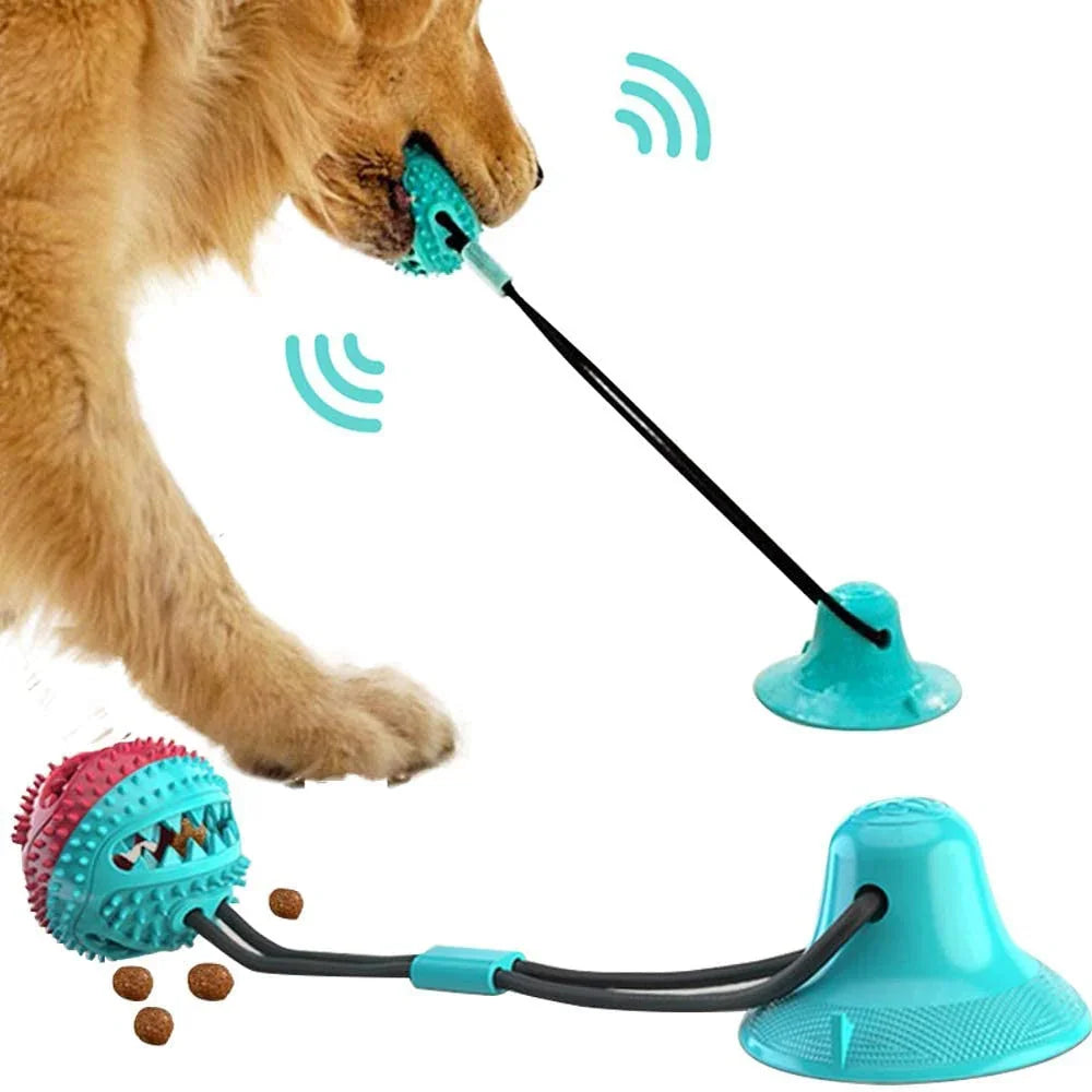 Dog playing with interactive slow feeder toy and suction cup treat dispenser for mental stimulation