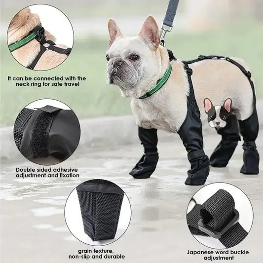 French Bulldog wearing CJ DropShippers waterproof adjustable dog boots and harness.