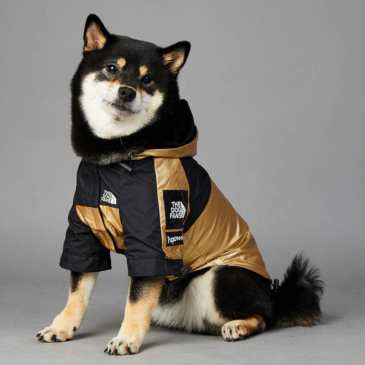 Gold and black dog raincoat jacket with hood, front zip, and logo patch