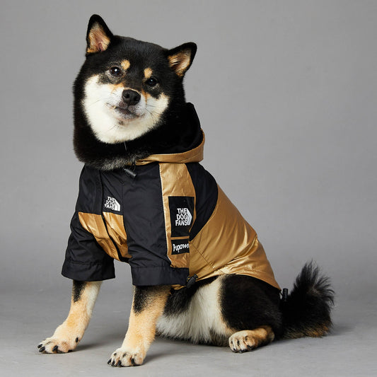 Gold and black dog raincoat jacket with hood, front zip, and logo patch