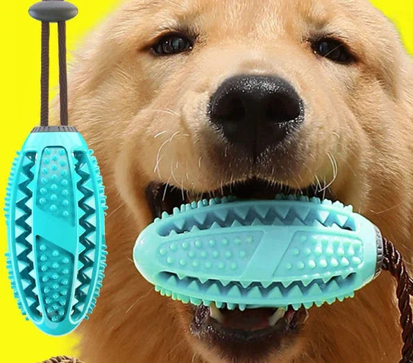 Golden retriever chewing blue textured dog toy with rope handle for interactive play and dental care