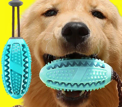 Golden retriever chewing blue textured dog toy with rope handle for interactive play and dental care