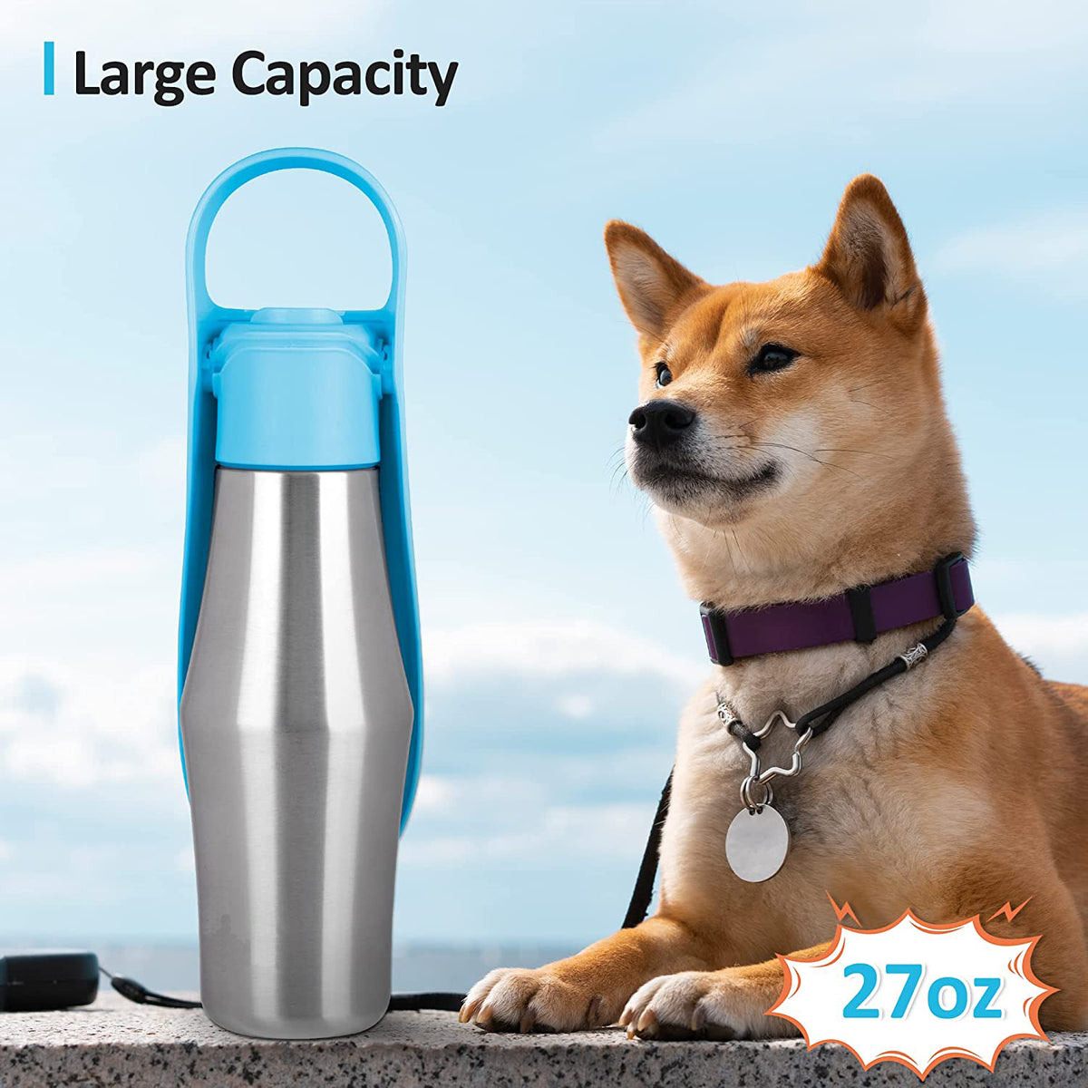 Blue portable pet water bottle with carrying handle and flip spout