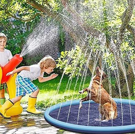 Pet swimming pool with water spray over dark mesh base, dog playing outdoors