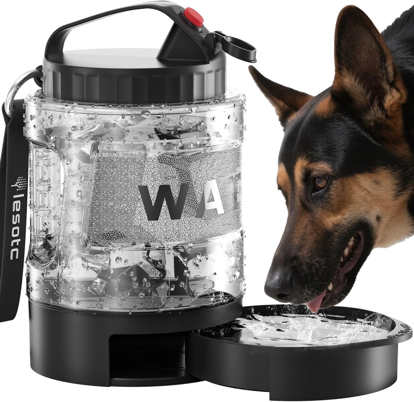 Black dog travel water bottle with built-in spill-proof drinking bowl and carry handle
