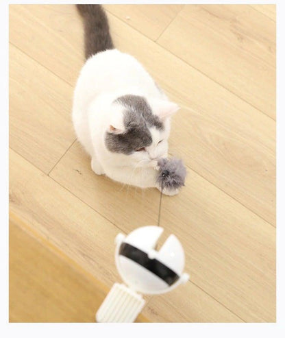 White and gray cat reaching toward automatic teaser toy with gray plush ball