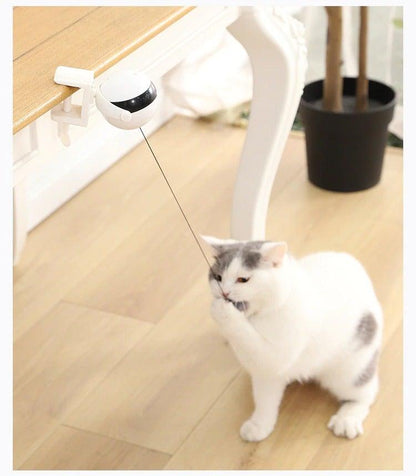 Cat playing with automatic teaser toy on floor; black dome and gray plush ball