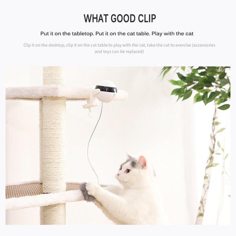 Cat batting gray plush balls from automatic teaser toy mounted on post