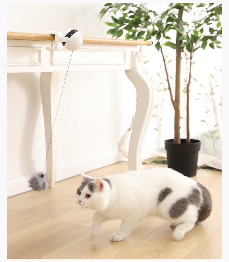 Cat playing with tabletop automatic teaser toy and gray plush balls on cord