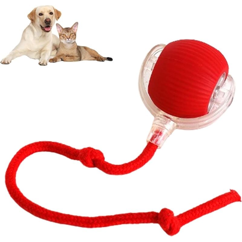 Red rolling pet ball toy with transparent housing and flexible cord for pets