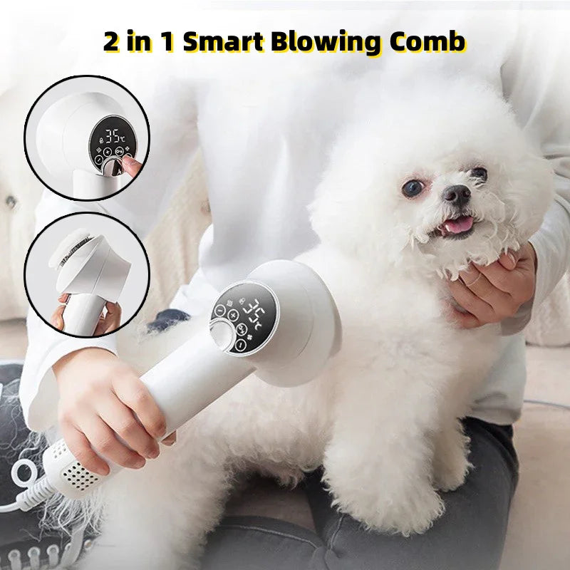 Pet hair dryer with blowing comb attachment, used on a white dog