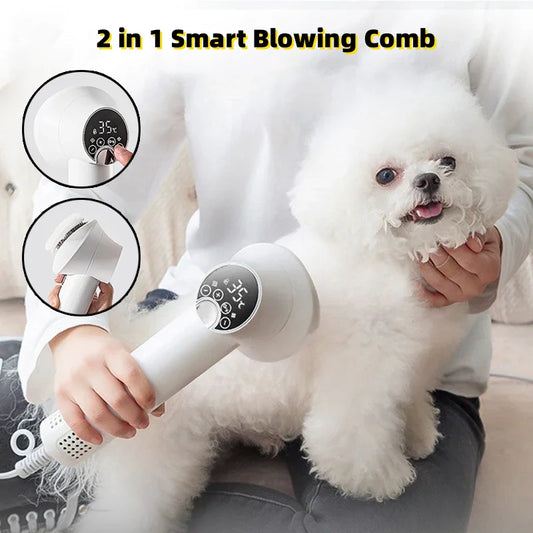 Pet hair dryer with blowing comb attachment, used on a white dog