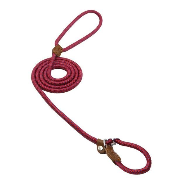Burgundy braided nylon dog leash set with leather handle and loop clasp