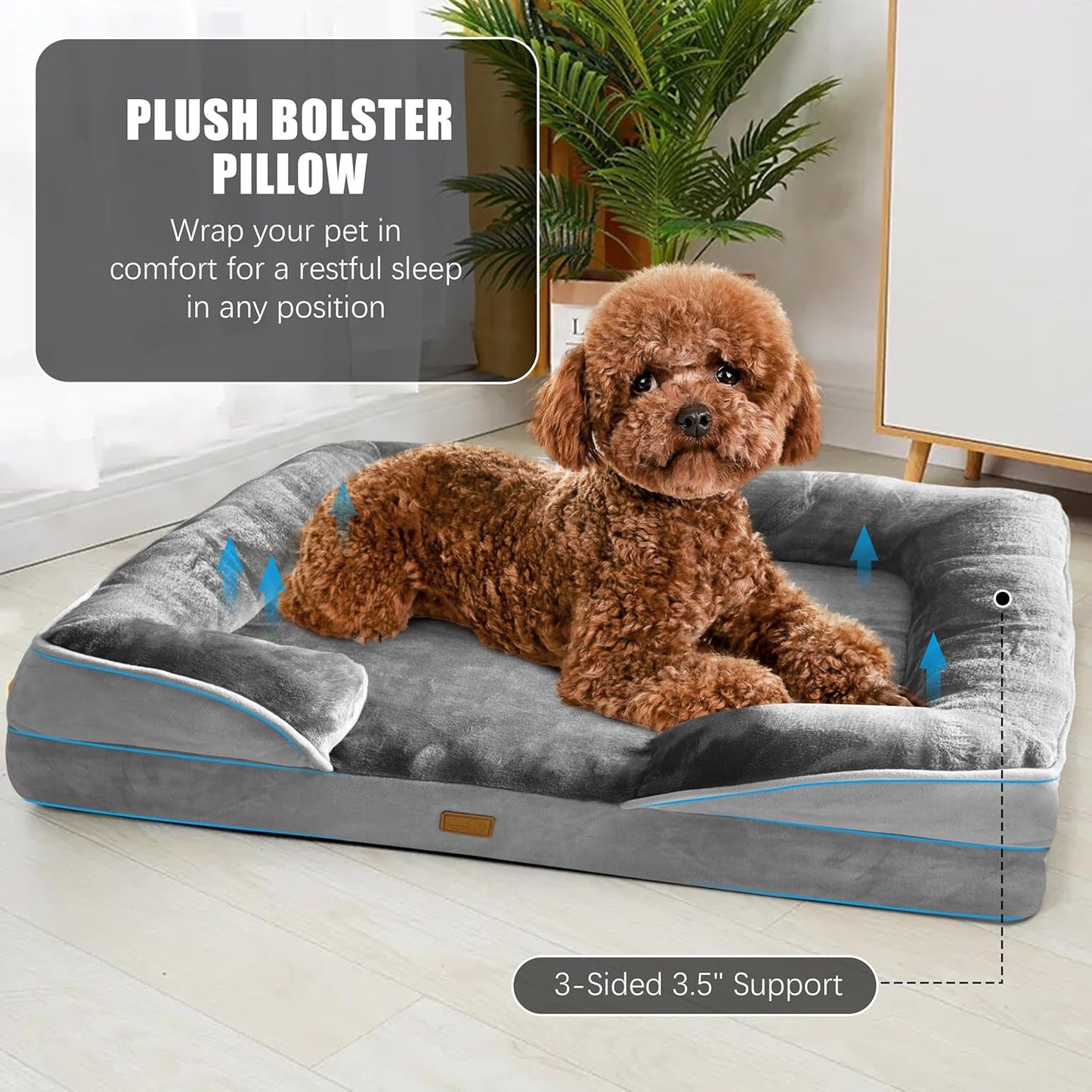 Small brown dog lying on a gray cushioned dog bed with bolstered sides