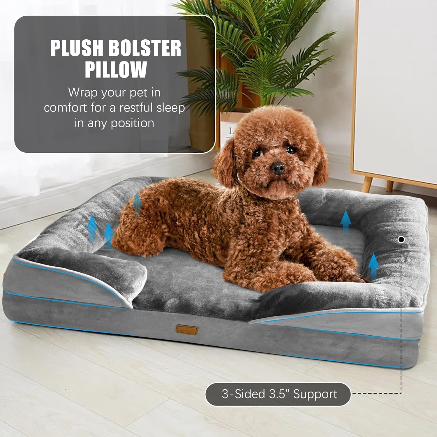 Small brown dog lying on a gray cushioned dog bed with bolstered sides