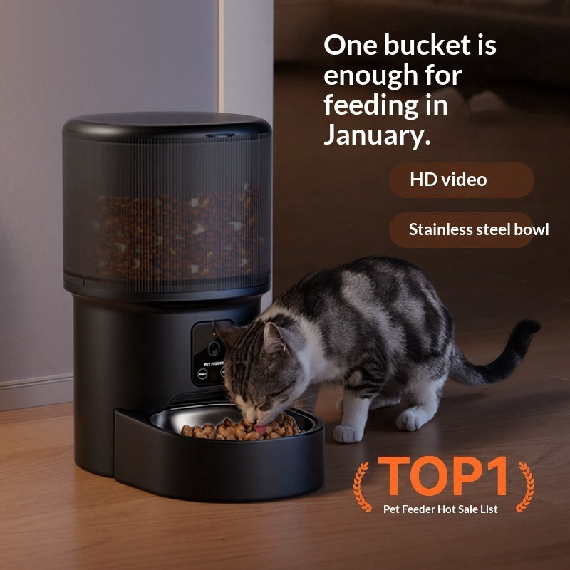 Black timed smart pet feeder dispensing food; bowl in front with cat