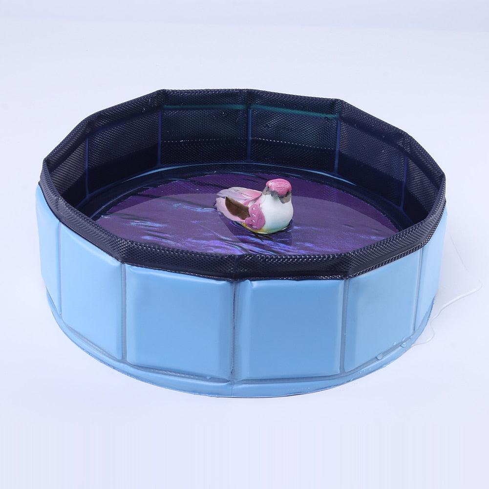 Blue foldable PVC pet swimming pool with dark blue mesh interior and rubber duck