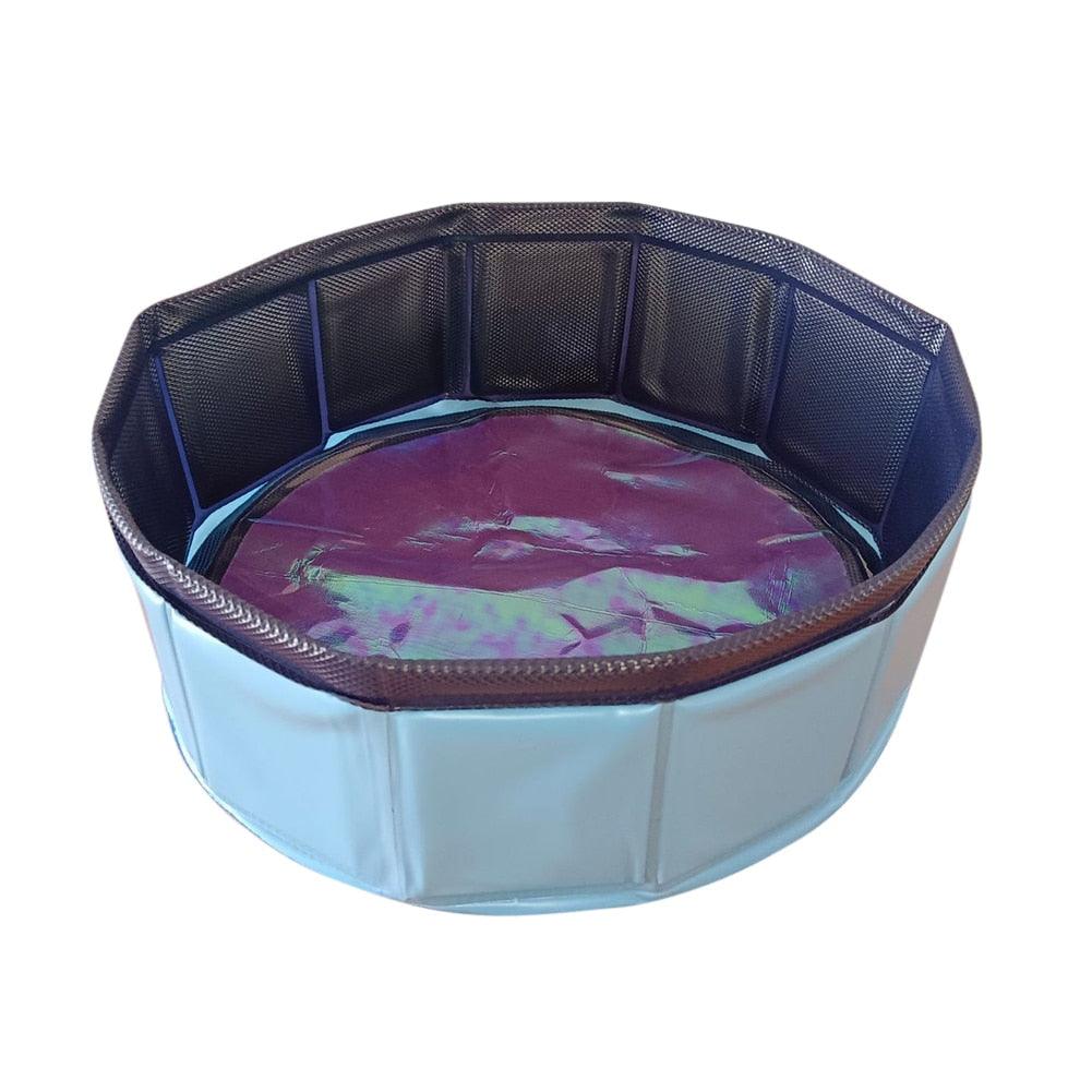 Blue foldable PVC pet swimming pool with dark blue mesh sides and shallow water