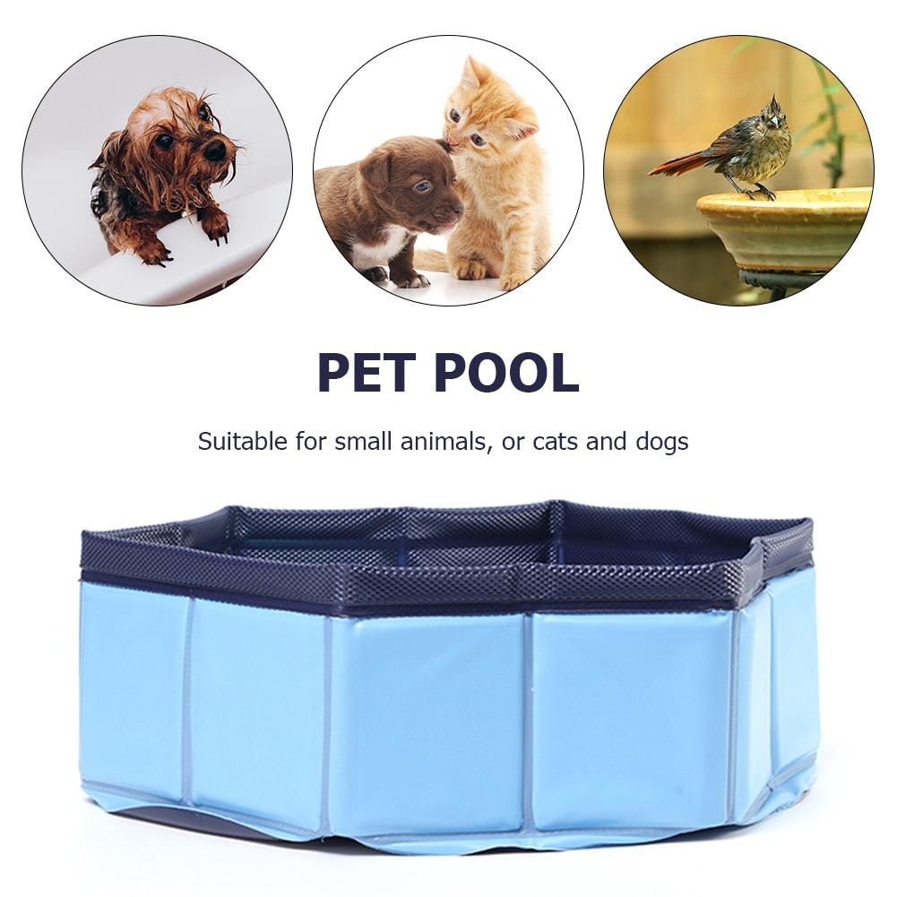 Blue foldable PVC pet swimming pool with dark blue mesh sides and rim