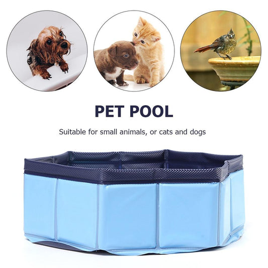 Blue foldable PVC pet swimming pool with dark blue mesh sides and rim
