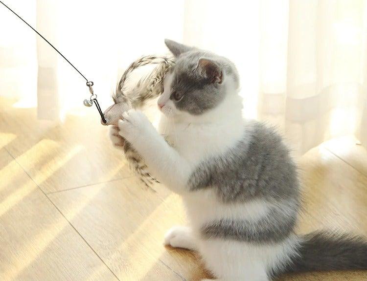 Gray and white cat batting a feather bird teaser wand with dangling bell toy