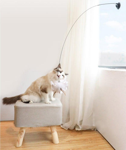 Cat playing with a feather teaser wand toy attached to a dangling string.