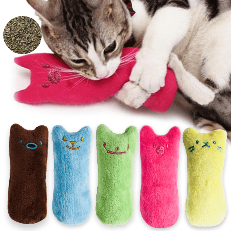 Cat pawing pink plush chew toy among assorted brown, blue, green, pink, and yellow toys