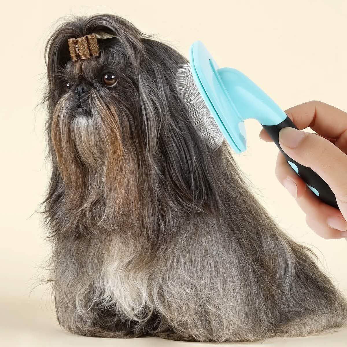 Blue slicker pet grooming brush used on a small long-haired dog, metal-pin pad