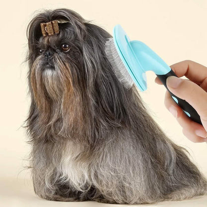 Blue slicker pet grooming brush used on a small long-haired dog, metal-pin pad