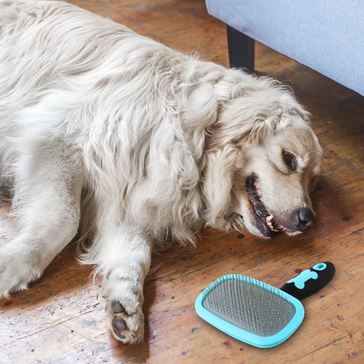 Blue slicker pet grooming brush beside a small dog, oval metal-pin pad
