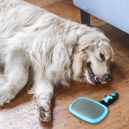 Blue slicker pet grooming brush beside a small dog, oval metal-pin pad