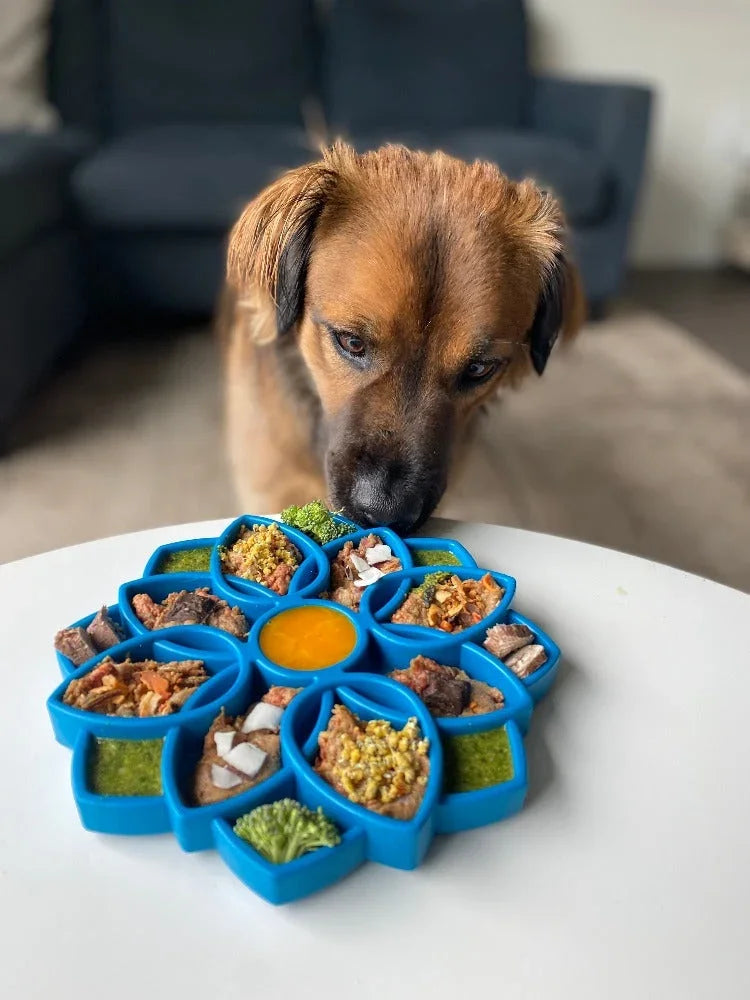 Blue slow feeder dog bowl with segmented compartments and orange center