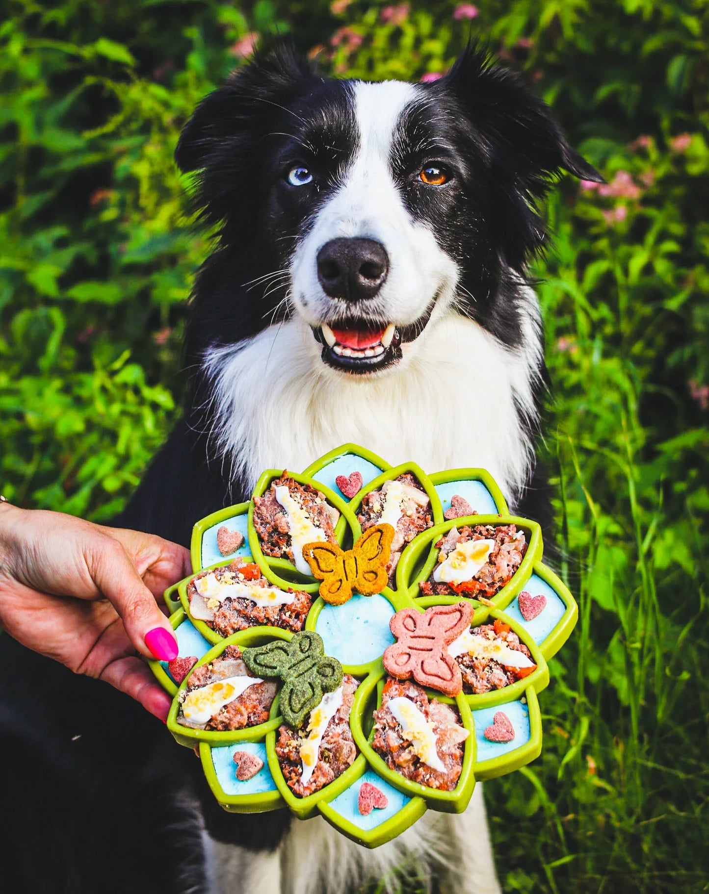 Slow feeder dog bowl with green and yellow flower puzzle compartments