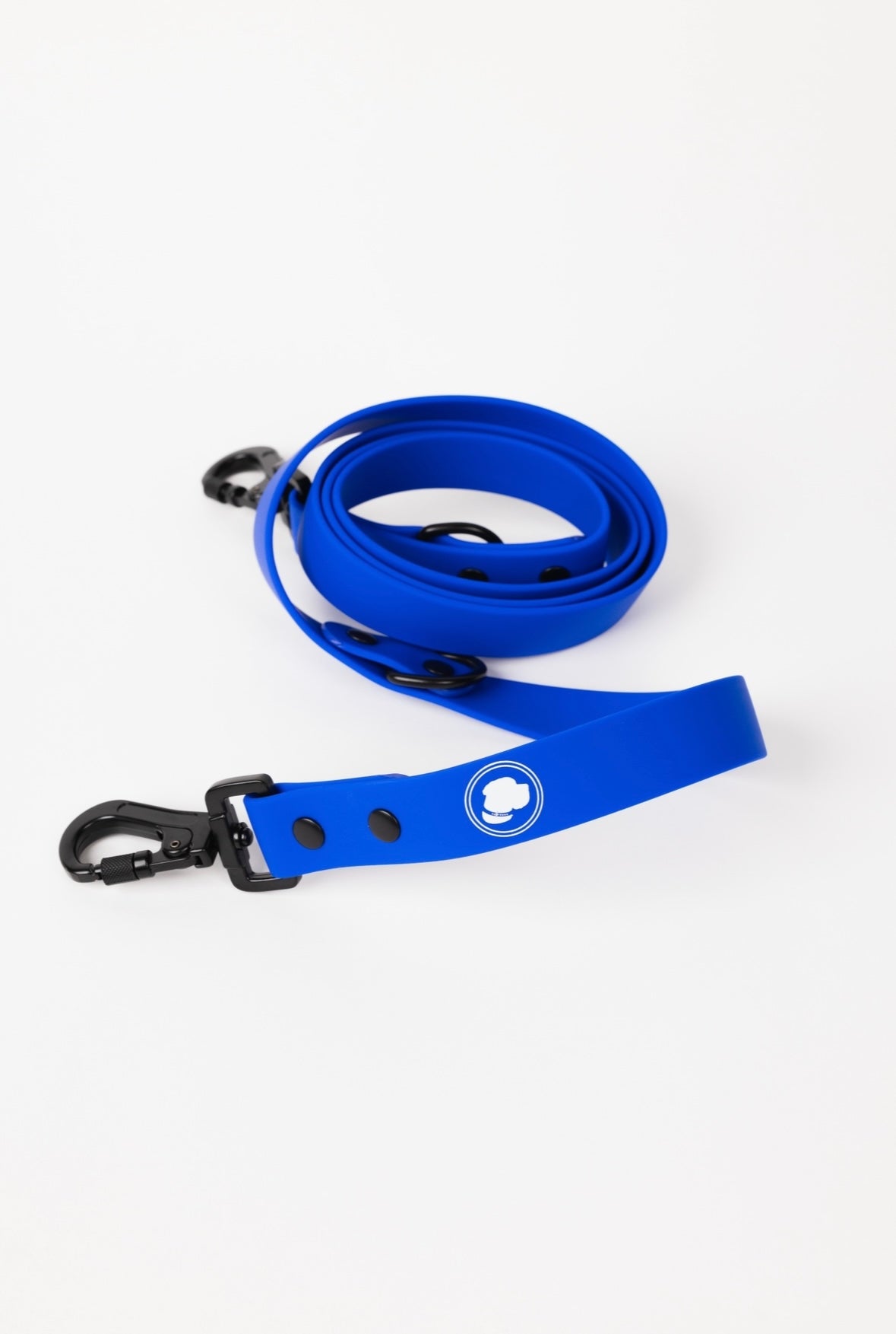 Royal blue dog leash set, coiled strap with adjustable blue collar and metal clip