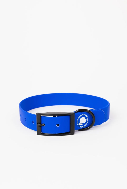 Royal blue dog collar with metal buckle and circular logo patch