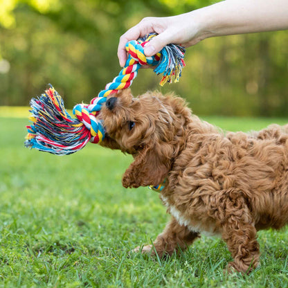 Braided rope bone tug toy held in a hand, showing colorful rope and tassels