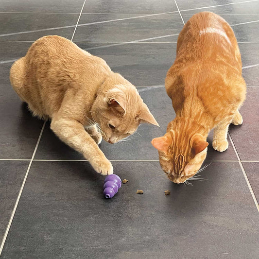 Two cats eating KONG cat treats on the floor beside a purple toy