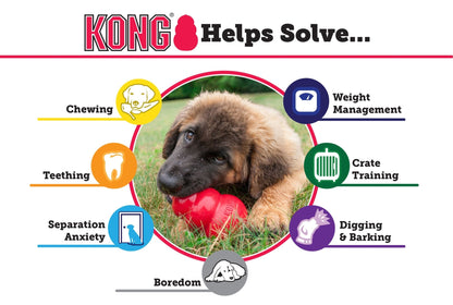 KONG Classic red rubber dog toy shown with dog on info graphic