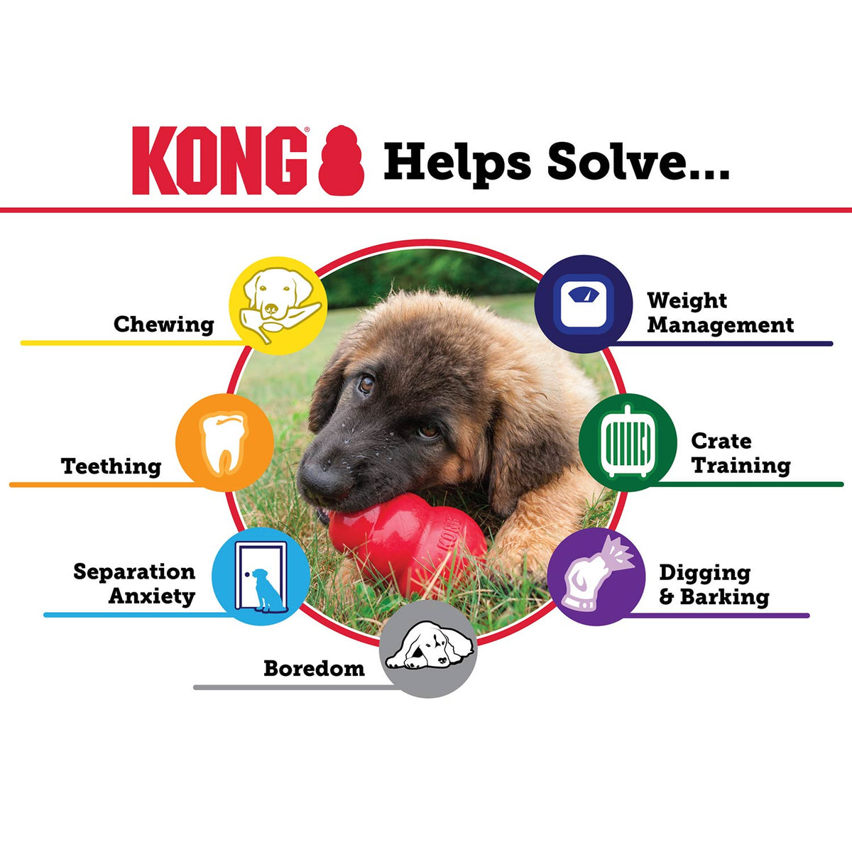 Red KONG Classic rubber chew toy held by a dog, with activity icons.