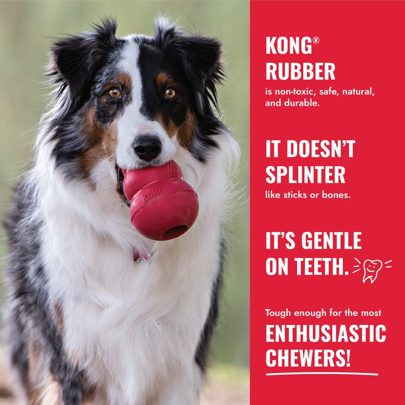 Red KONG rubber chew bone in dog’s mouth; gentle on teeth