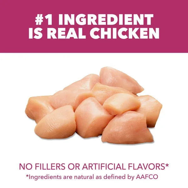 IAMS cat food bag panel: #1 real chicken, no fillers or artificial flavors.