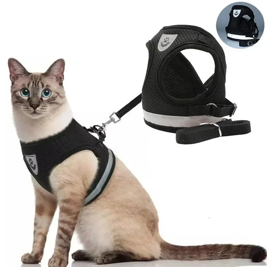 Cat wearing black mesh harness with leash, ideal for safe outdoor walks and pet comfort