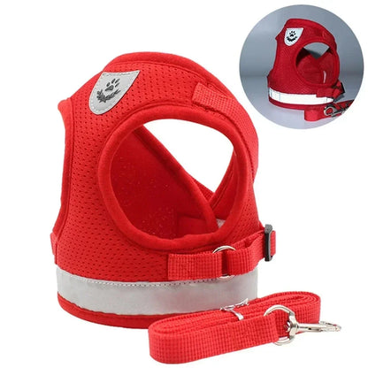 Red breathable dog harness with reflective strip and matching leash for safe walks