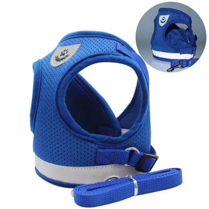Blue breathable dog harness with reflective strip and matching leash for safe walks
