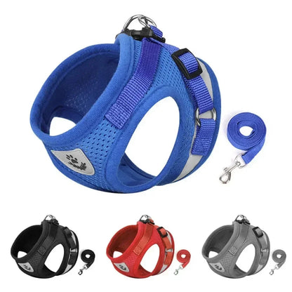 Blue dog harness with leash, also in black, red, gray; breathable mesh, adjustable straps for pet comfort