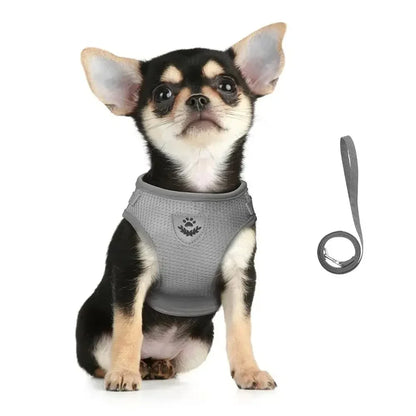 Small dog in gray harness with matching leash, ideal for pet walking and comfort.