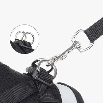 Black dog harness with metal D-ring and secure clip for leash attachment