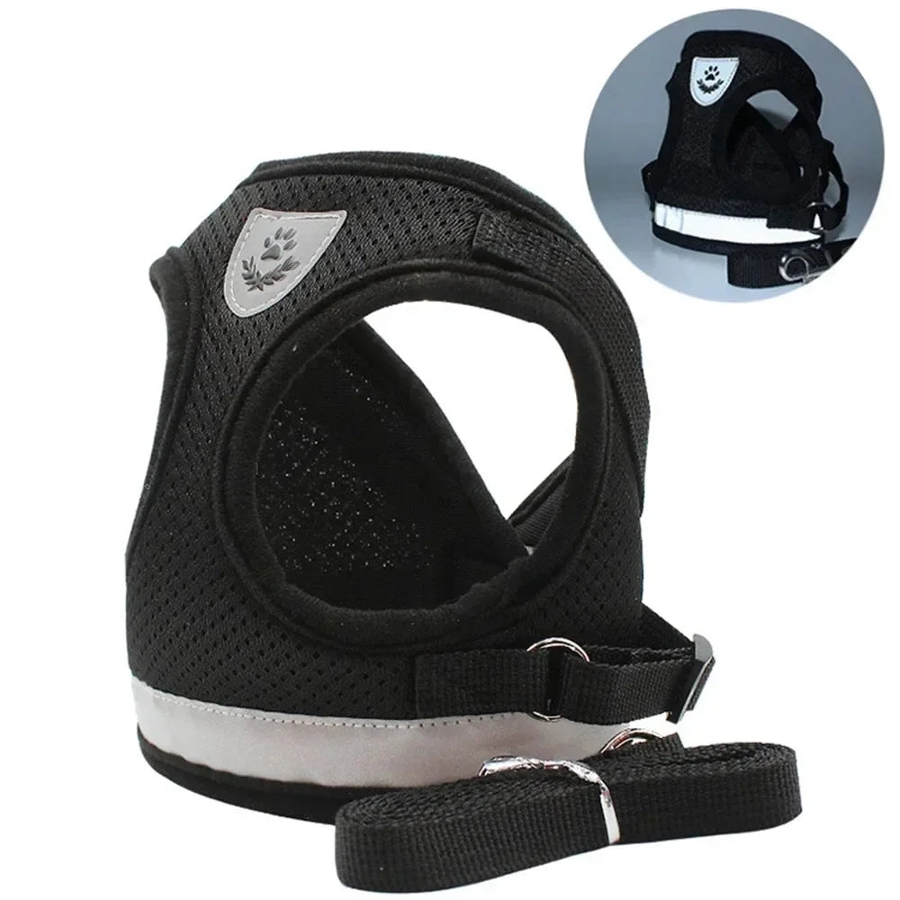 Black reflective cat harness with adjustable front strap and attached leash