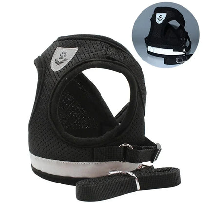 Black mesh dog harness with reflective strip and leash for safe walks